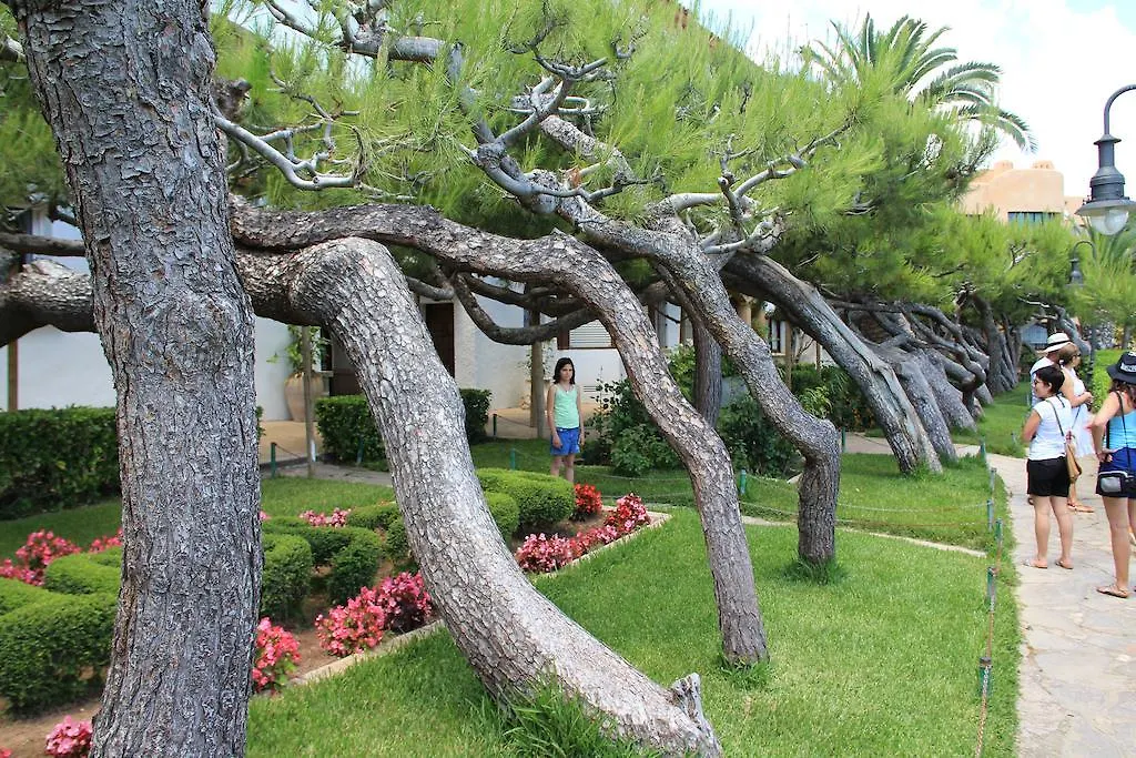 Villa Casa Neus Bara Roda de Berà  Roda de Berà (Roda de Bará)